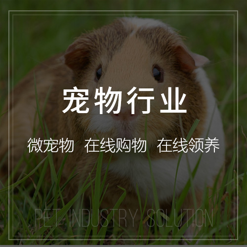 金华活动报名系统制作的数据分析与用户行为研究